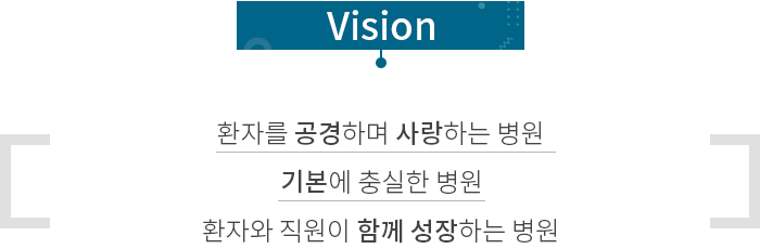 비전